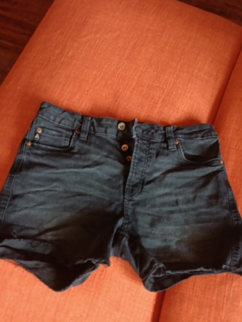 Ariya Dark Blue High-Rise Denim Jean Shorts